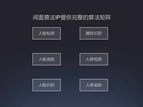 rockchip 瑞芯微电子股份